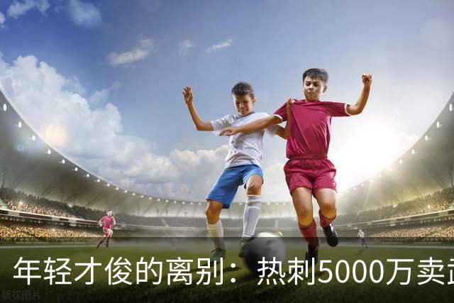 年轻才俊的离别：热刺5000万卖武什科维奇，没在舞台上亮相